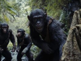 Kingdom of the Planet of the Apes hits IMAX on May 8th