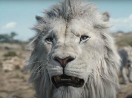 Mads Mikkelsen voices Kiros in MUFASA: THE LION KING